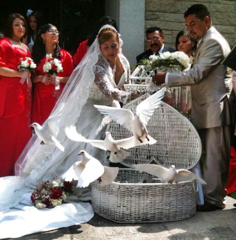 Beautiful wedding ceremony with doves. 