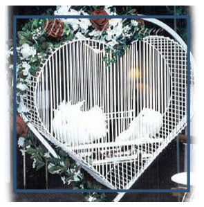 Dove  