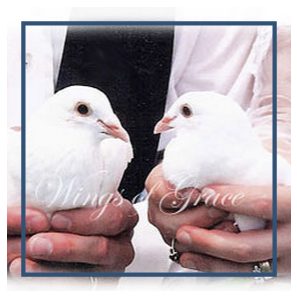 Majestic White Doves  