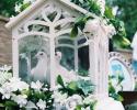 See these beautiful dove in this lovely glass house display. 