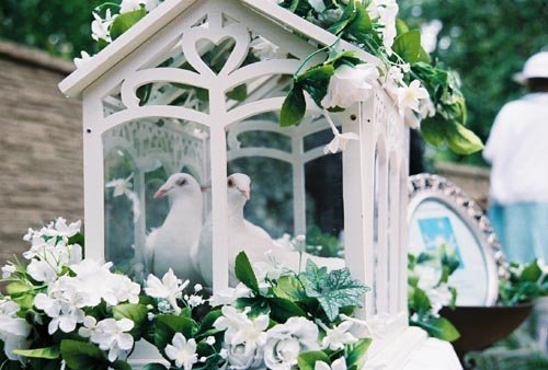 See these beautiful dove in this lovely glass house display. 