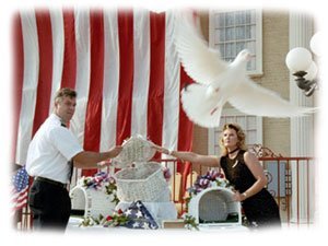 Beautiful white dove releasing as a celebration of life. 