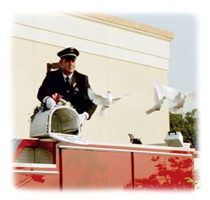 What better way to bring peace to your moment than with a dove releasing ceremony? 