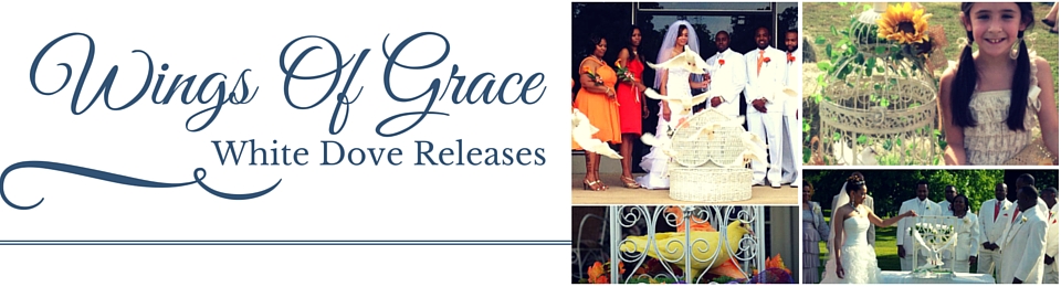 Wings Of Grace White Dove Releases